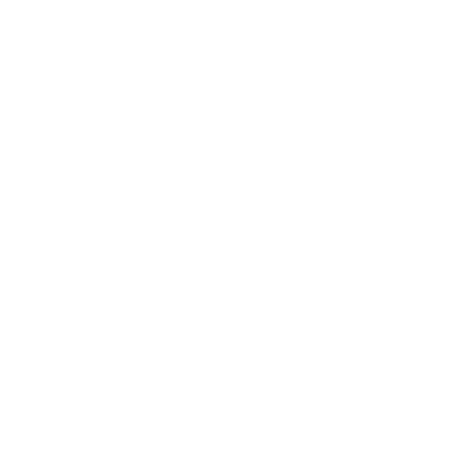 Krāsotājs.pro Logo